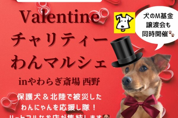 2月11日（日）保護犬＆被災地を応援し隊！バレンタインチャリティーわんマルシェinやわらぎ斎場 西野